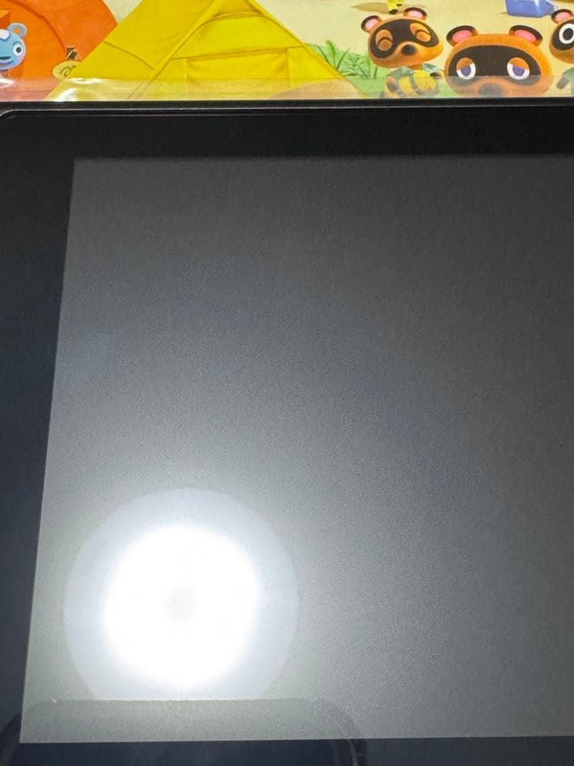 Nintendo Switch あつまれどうぶつの森セット　中古　本体　あつ森