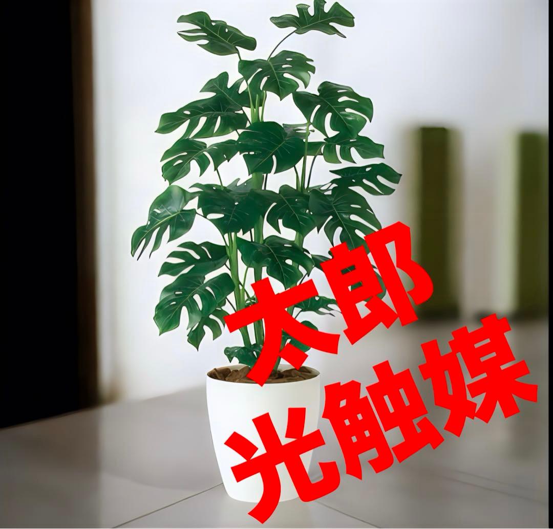 光触媒　人工観葉植物　ウォールグリーン　フェイクグリーン　モンステラ R110