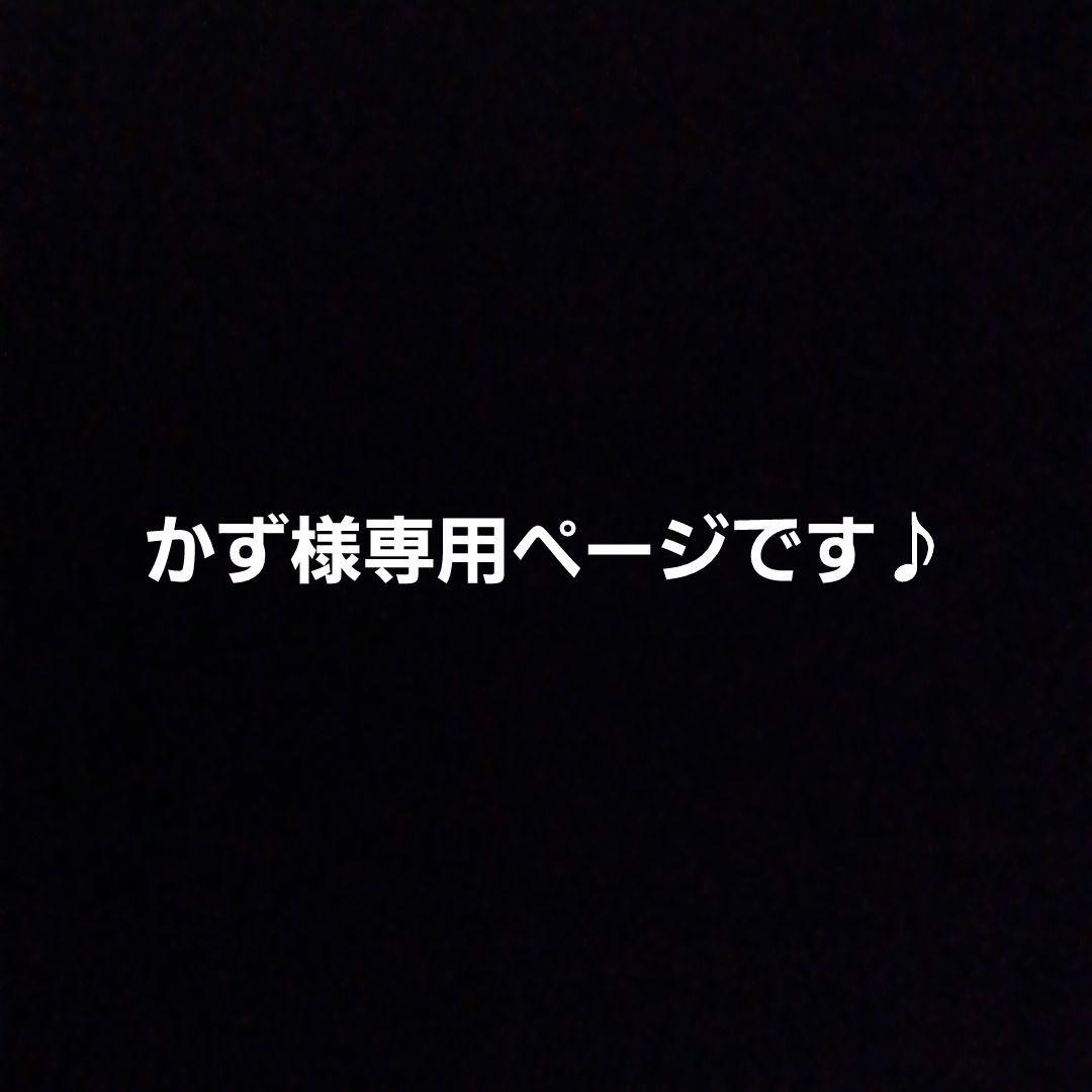ラブブキーホルダー8体入れ×10