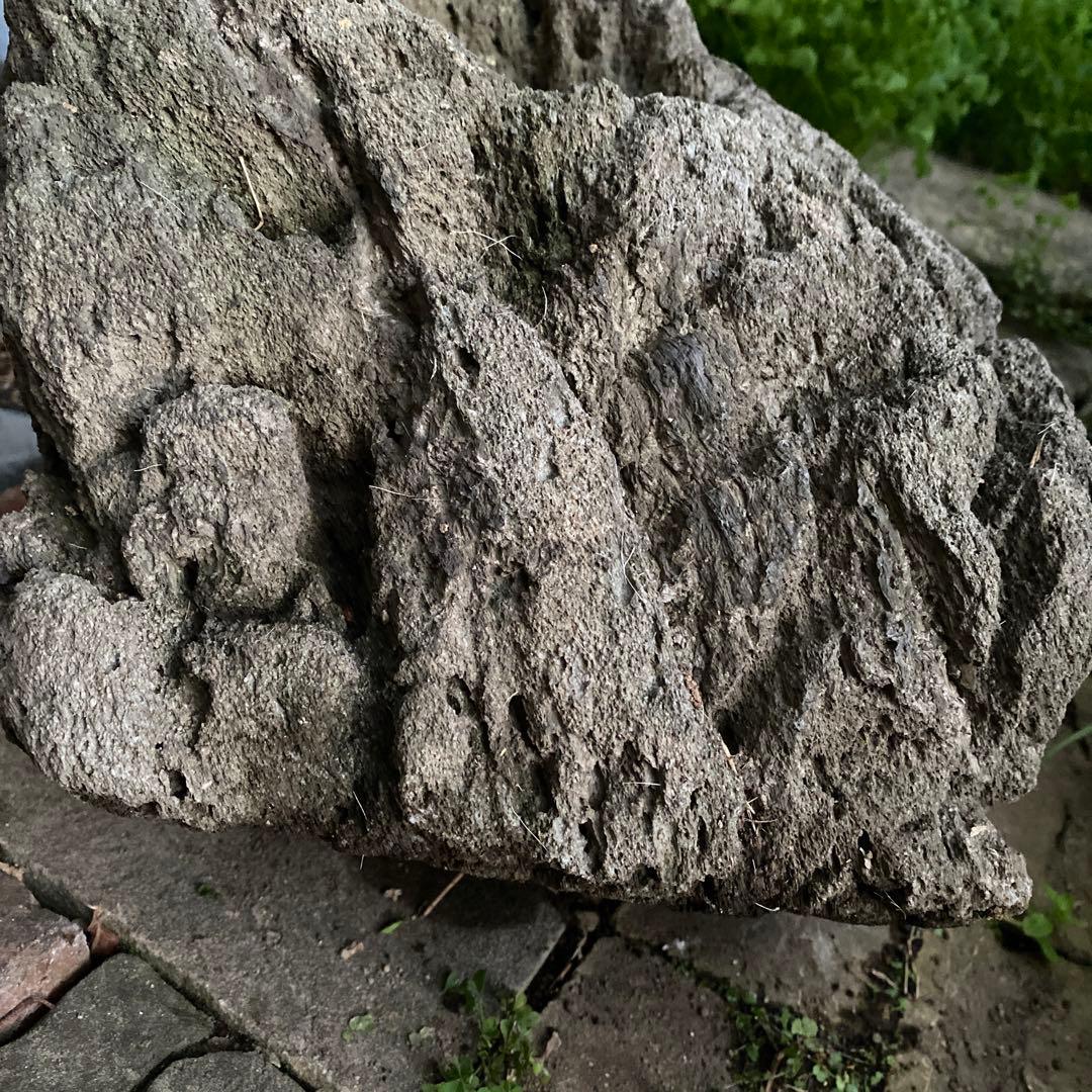 植木鉢　庭石　ロックガーデン　岩　溶岩石　オブジェ