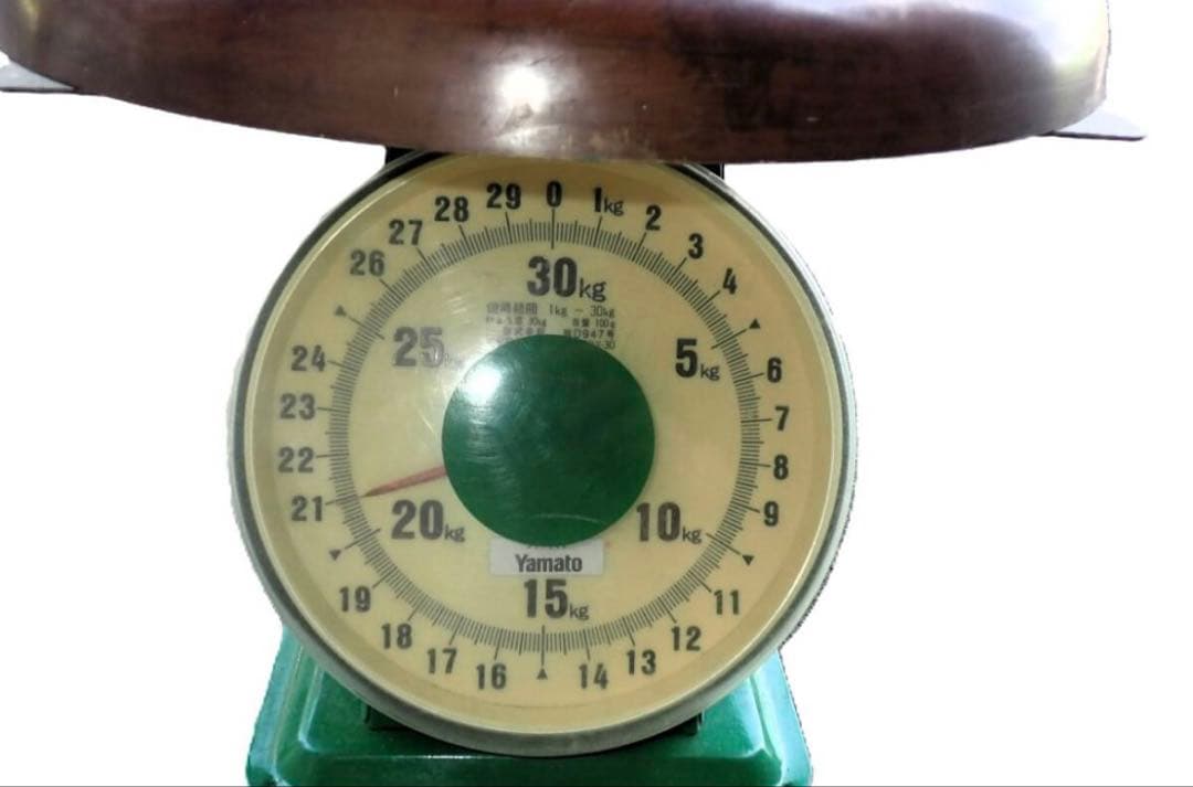 ブロンズ像 裸婦 葡萄像 美術品 彫刻 インテリア 置物 アンティーク