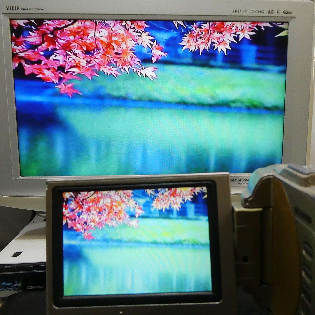 動作良好ソニーDCR-TRV10 MiniDVビデオカメラ DVDダビングに最適