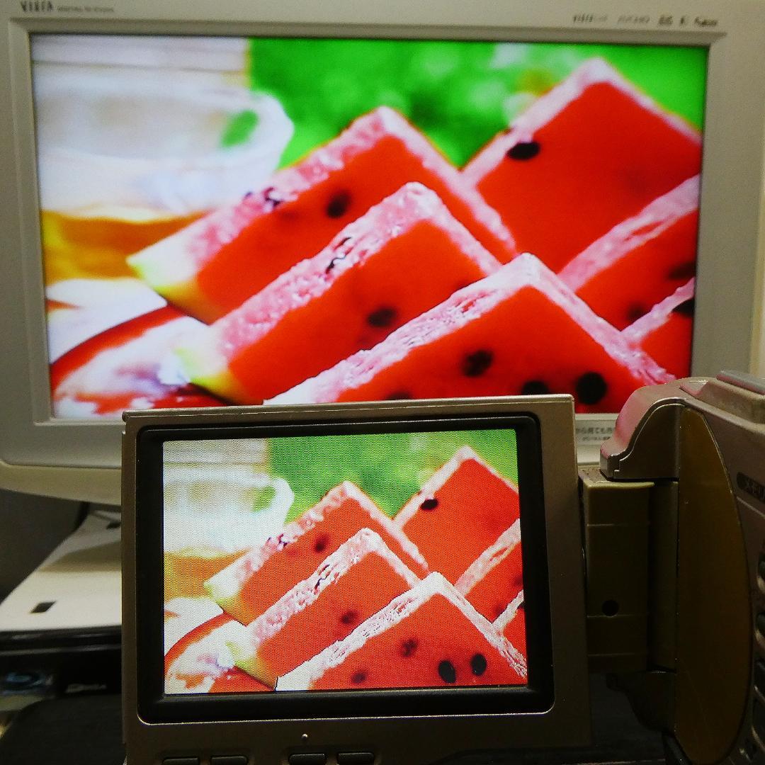 動作良好ソニーDCR-TRV10 MiniDVビデオカメラ DVDダビングに最適