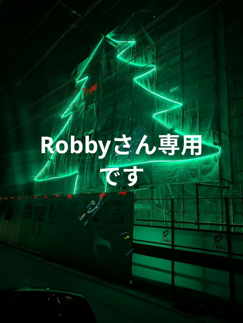 Robbyさん専用です