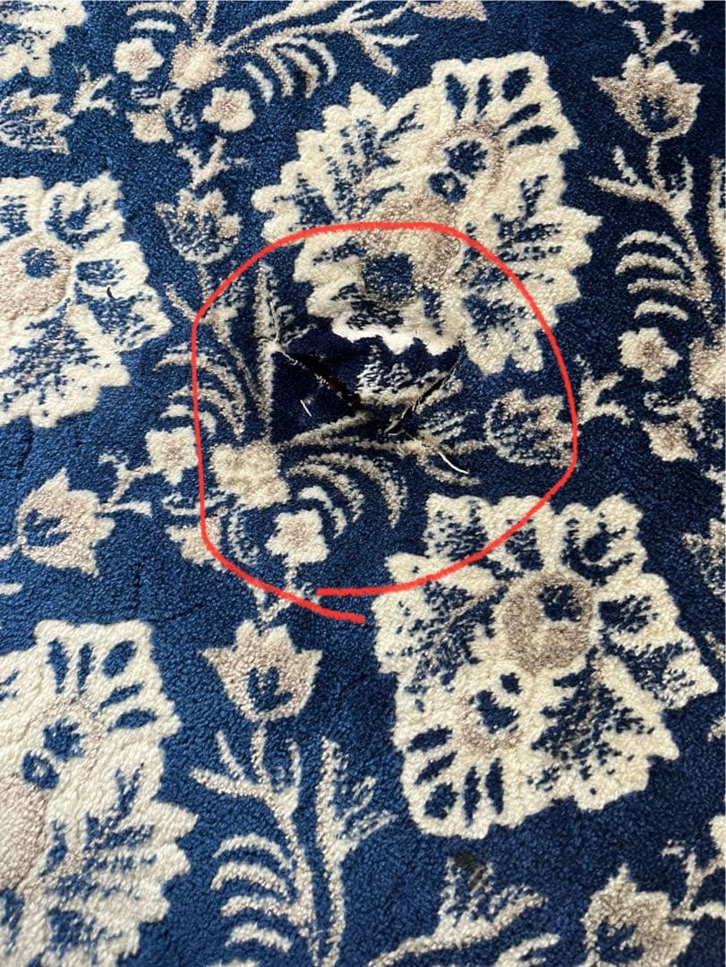 17レンジャー新格子