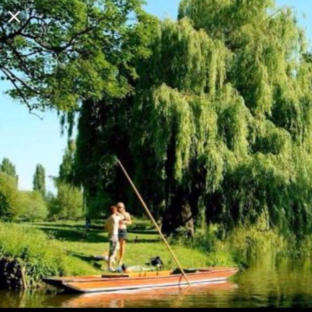 Sale❗️リリパットレーン429☆GRANTCHESTER MEDOWS