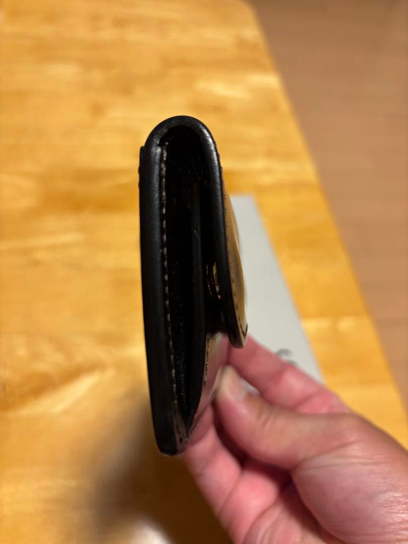 ワイルドスワンズタング　サドルプルアップブラック美品