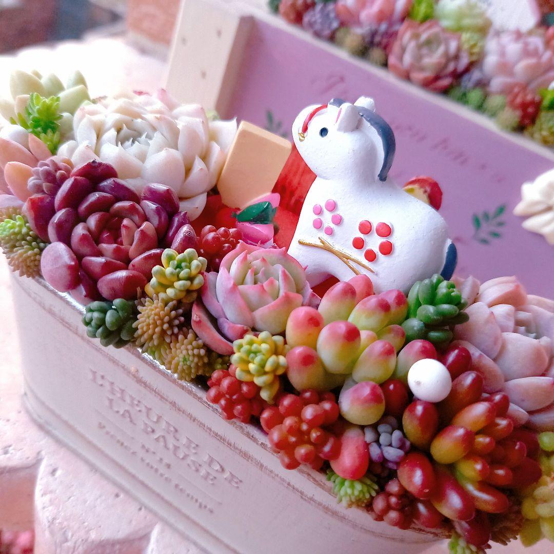 ❤️専用❤️多肉植物❤️そのまま飾れる寄せ植え❤️