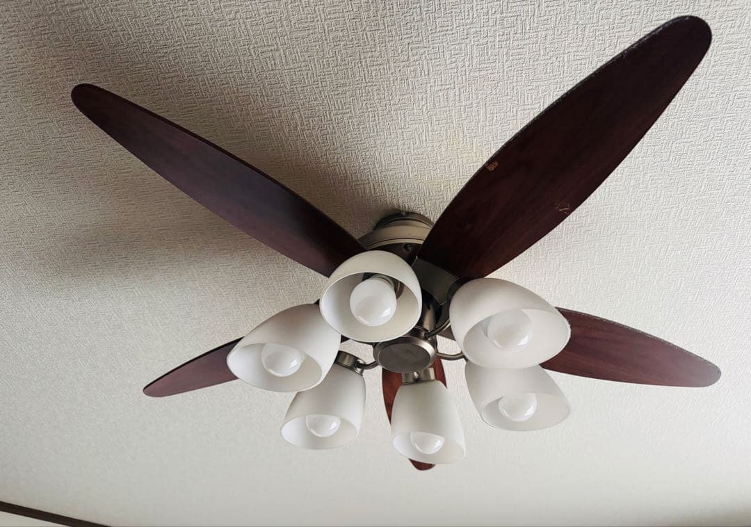 直接引き取り　シーリングファン 電球なし　ダークウッド 6灯