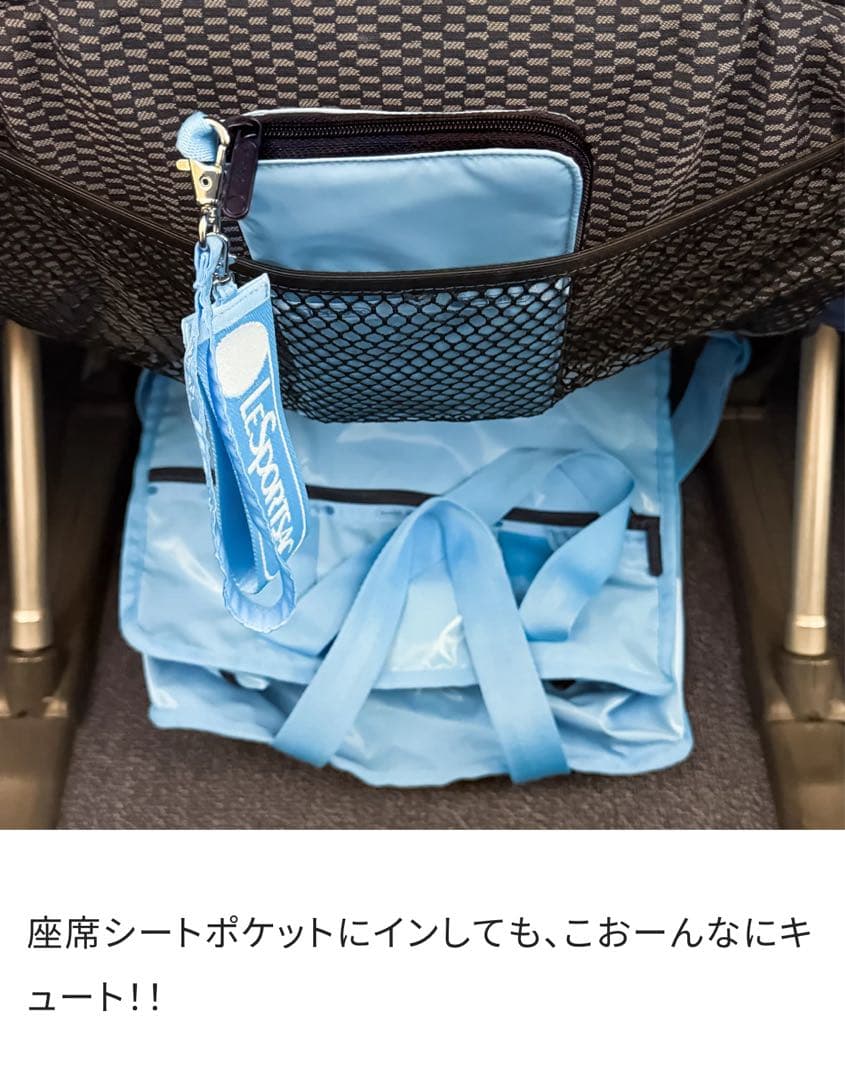 LeSportsac ひとりっぷ　RMASTER TRAVEL WALLET
