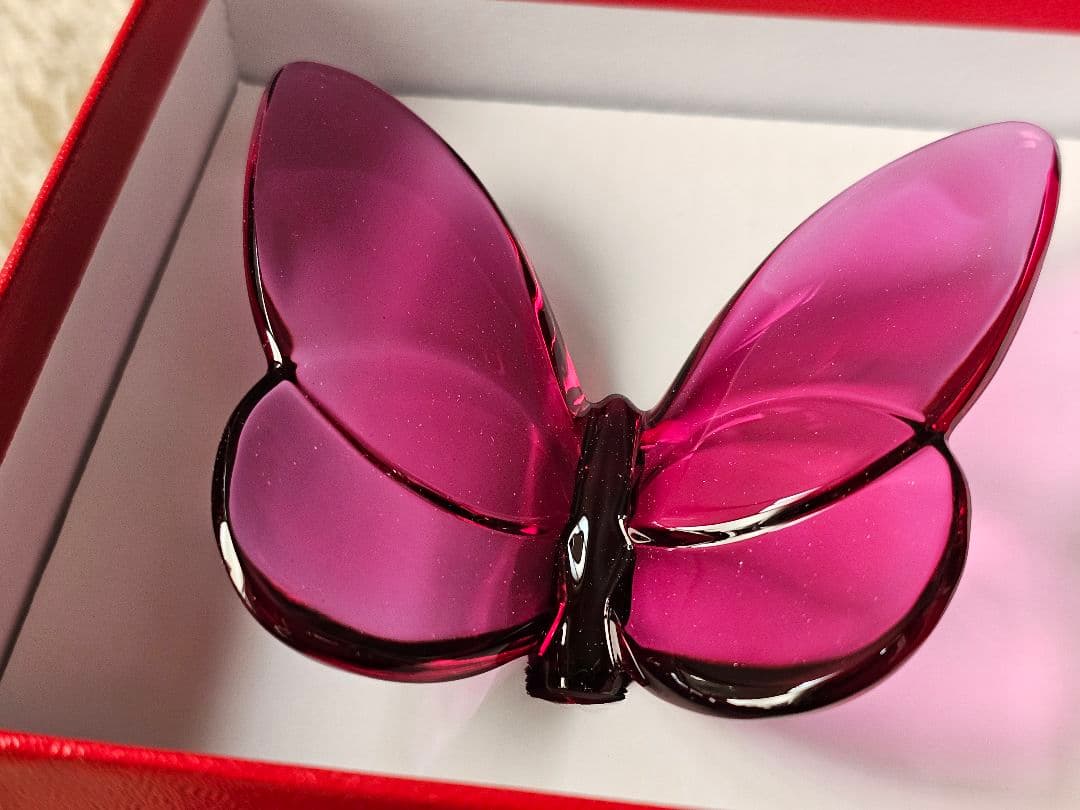 新品 Baccarat ラッキーバタフライ ピオニー PURPLE パピヨン