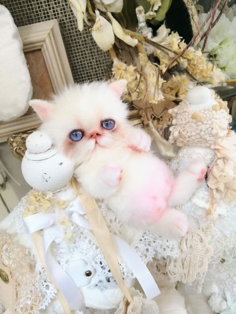 エキゾ♡ペルシャ♡子猫ちゃん♡お腹ぽっこりベビー♡アートドール♡ぬいぐるみ♡
