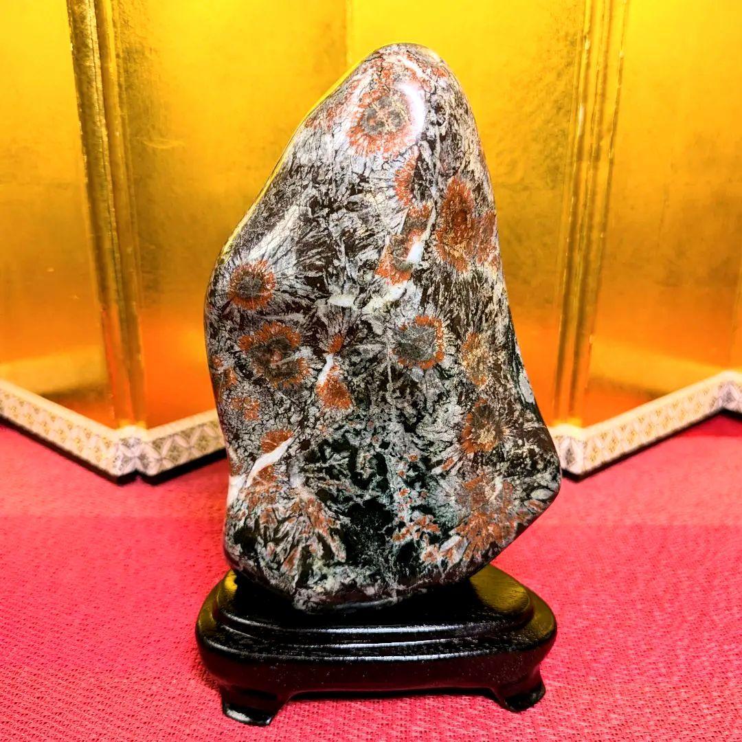 菊花石 岐阜県根尾谷産1.2㌔ 鑑賞石 観賞石 水石 盆石 天然石 置物