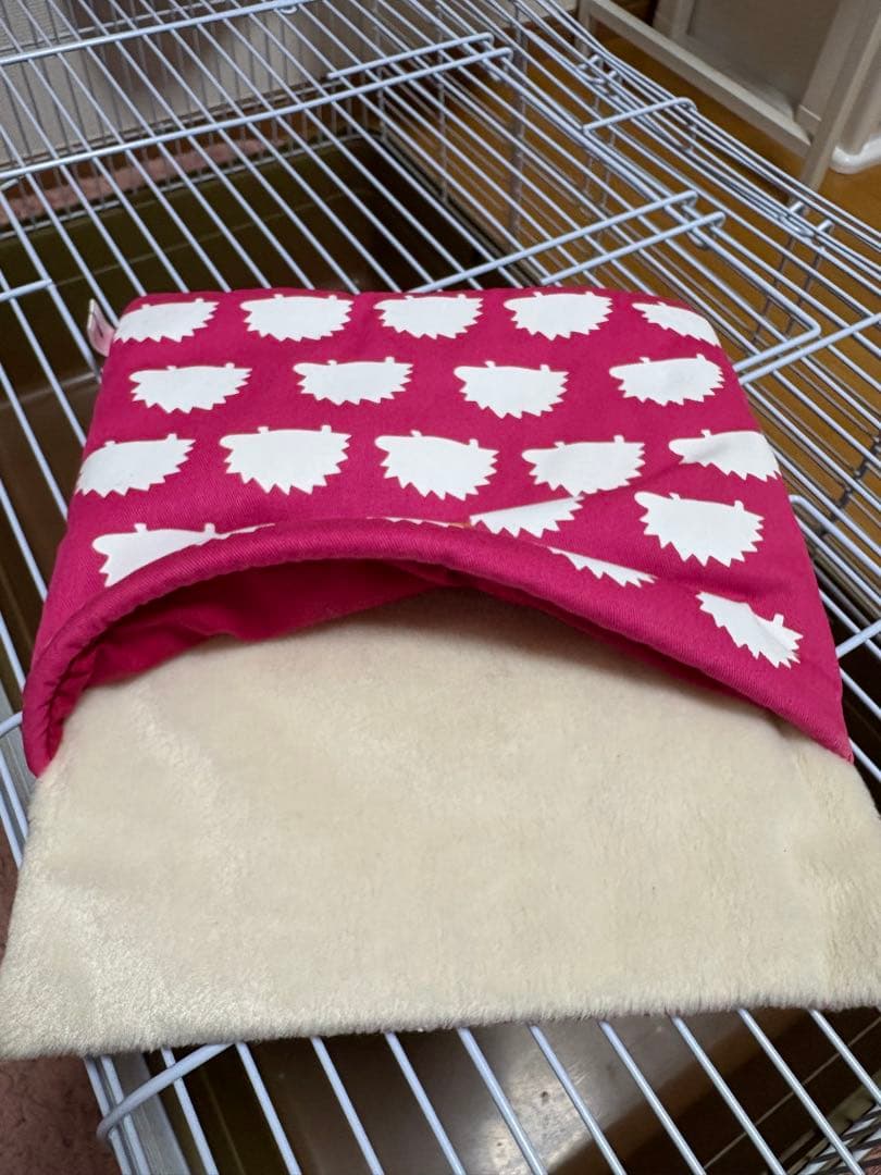 ハリネズミ飼育セット