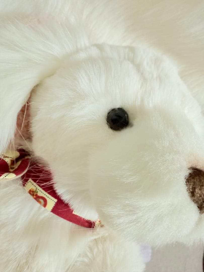 ☆ポンコポンコ☆ ☆チャーリーベアーズ☆ Spirit ☆美品♪