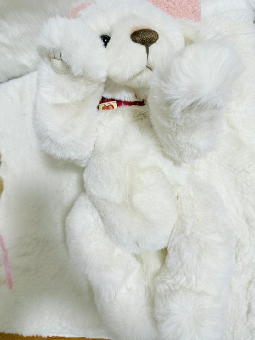 ☆ポンコポンコ☆ ☆チャーリーベアーズ☆ Spirit ☆美品♪