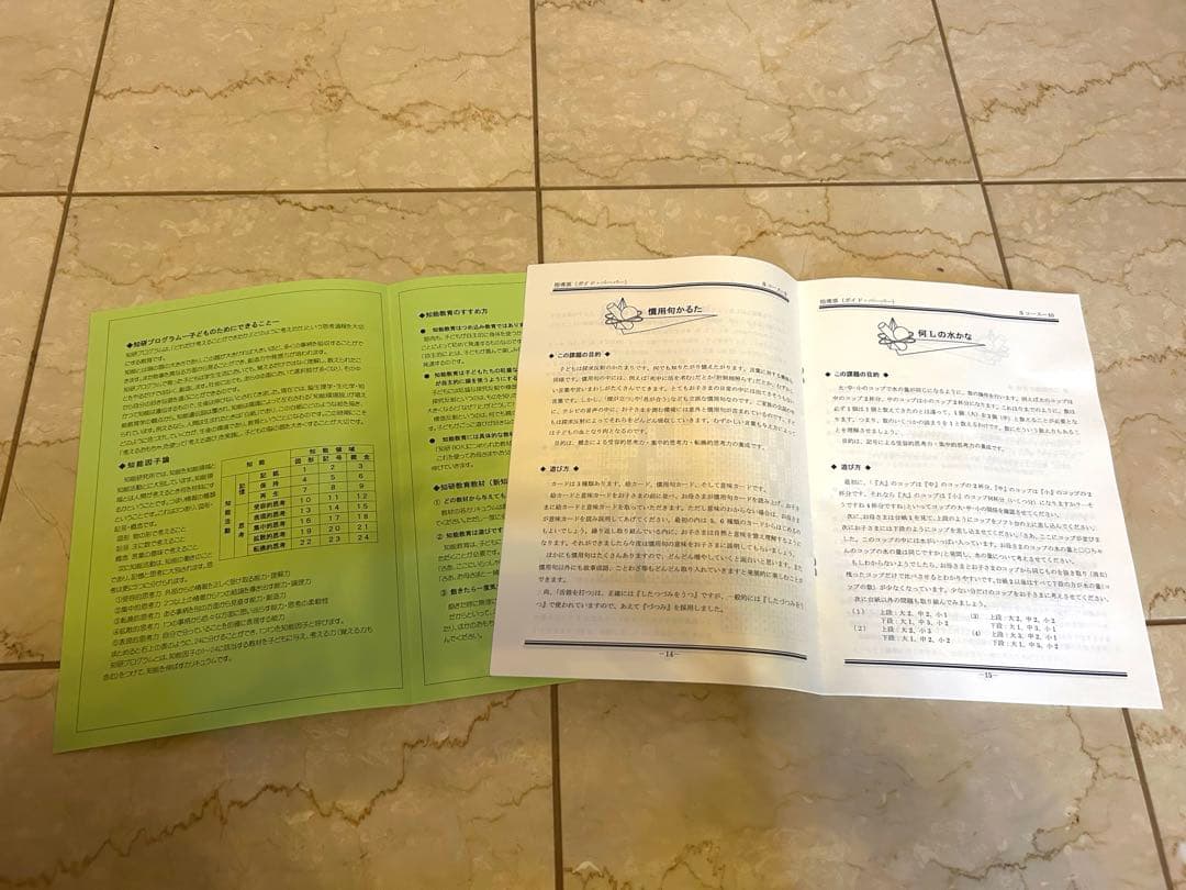 知育教材　ジーニアス　知能研究所　知研　年中　年長