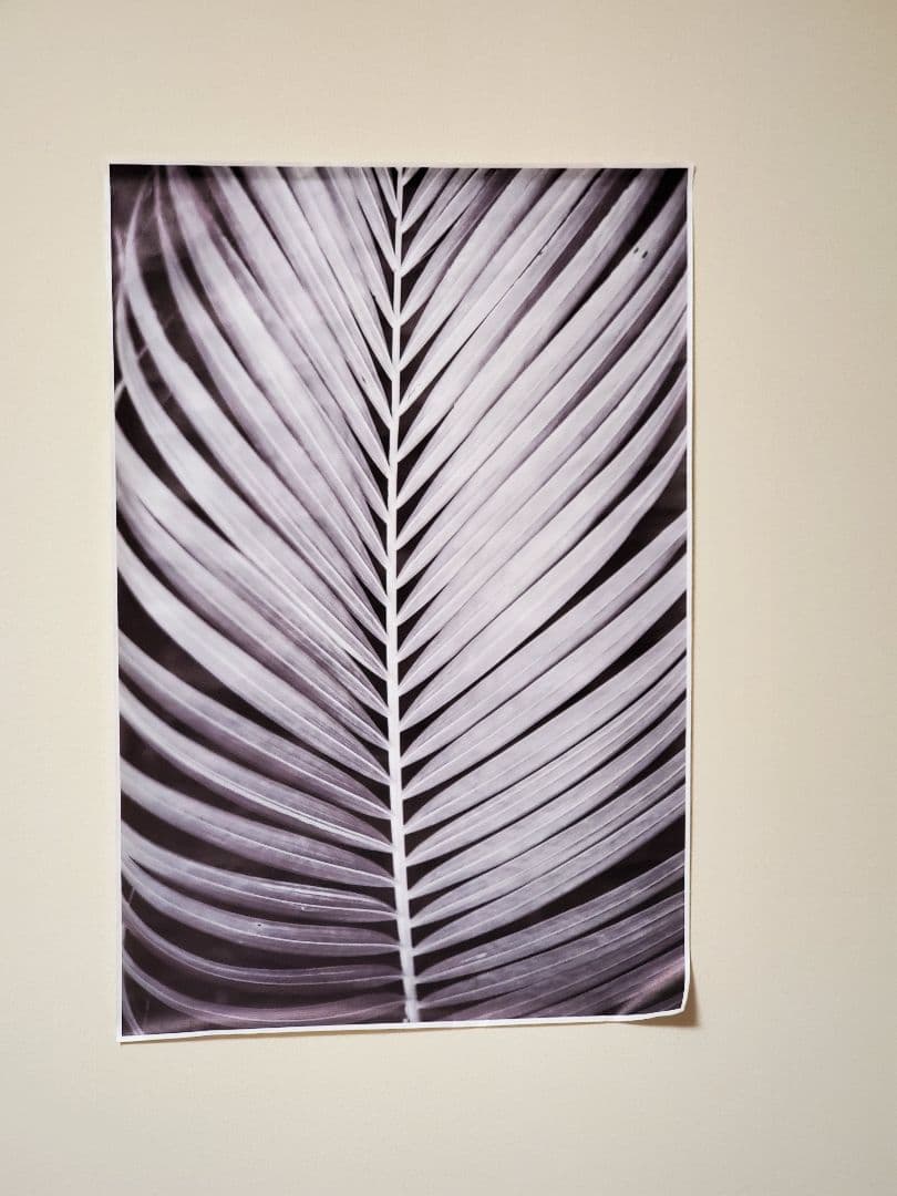 キャンパス　プリント　壁アート　ポスター