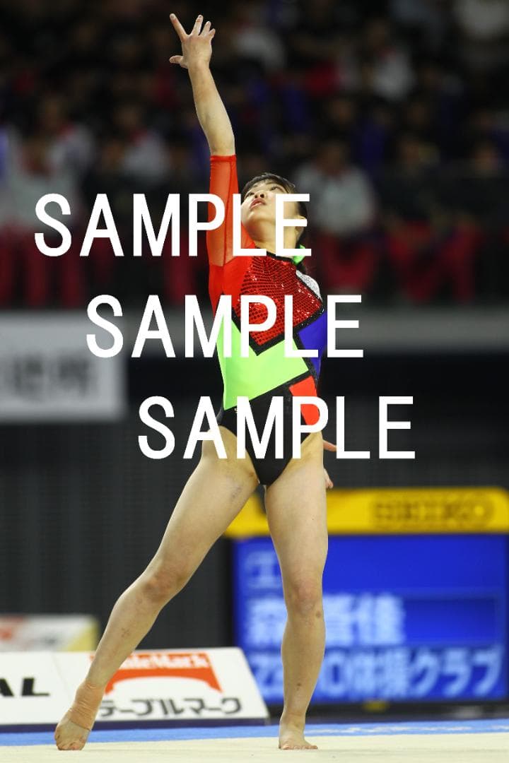 ★9/15まで値引★日本女子体操選手画像集(2019年) 約82,500枚