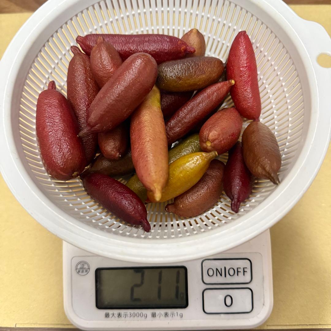 フィンガーライム　お問い合わせ　柑橘　レモン　ライム