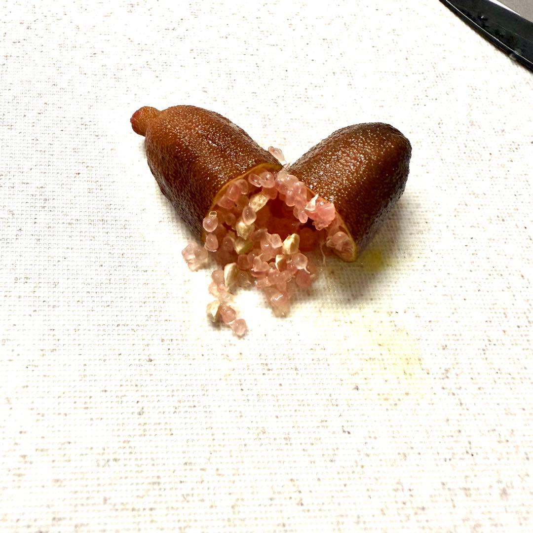 フィンガーライム　お問い合わせ　柑橘　レモン　ライム