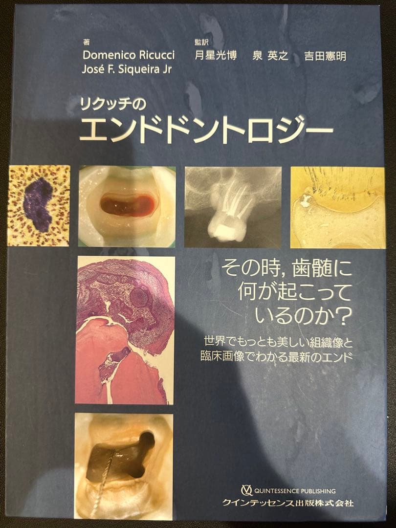 裁断済み　リクッチのエンドドントロジー