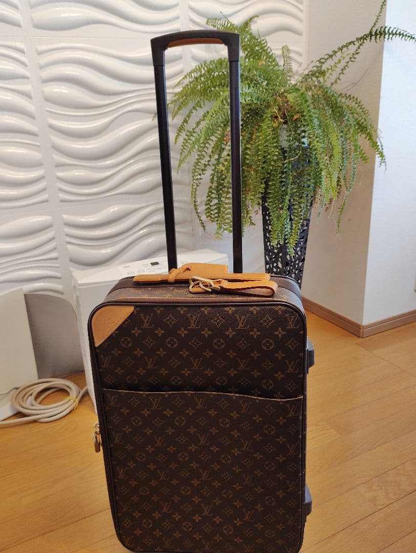 Louis Vuitton ペガス55 機内OK 美品☆