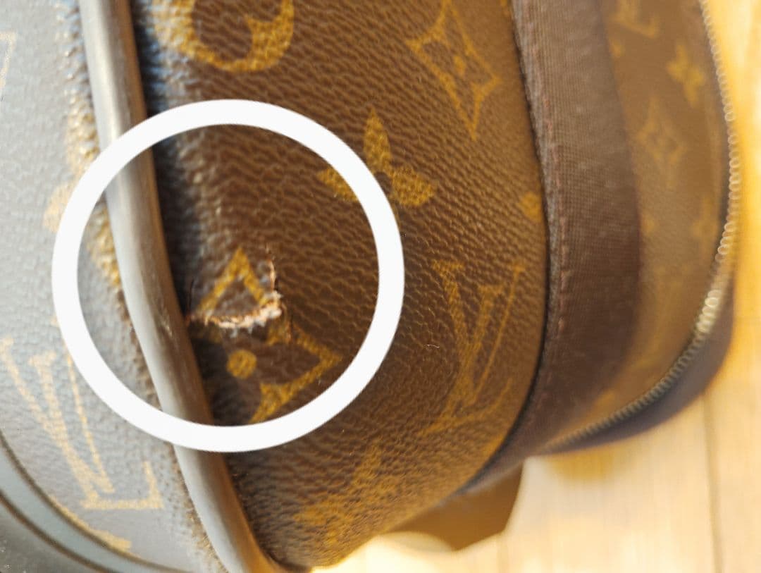 Louis Vuitton ペガス55 機内OK 美品☆