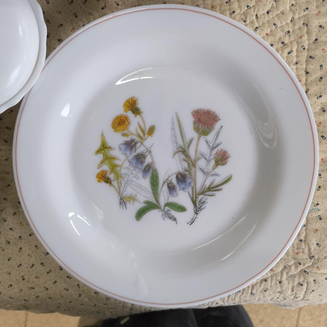 さ*う様 ヴィンテージアルコパル　arcopal フランス製　大量食器セット　野