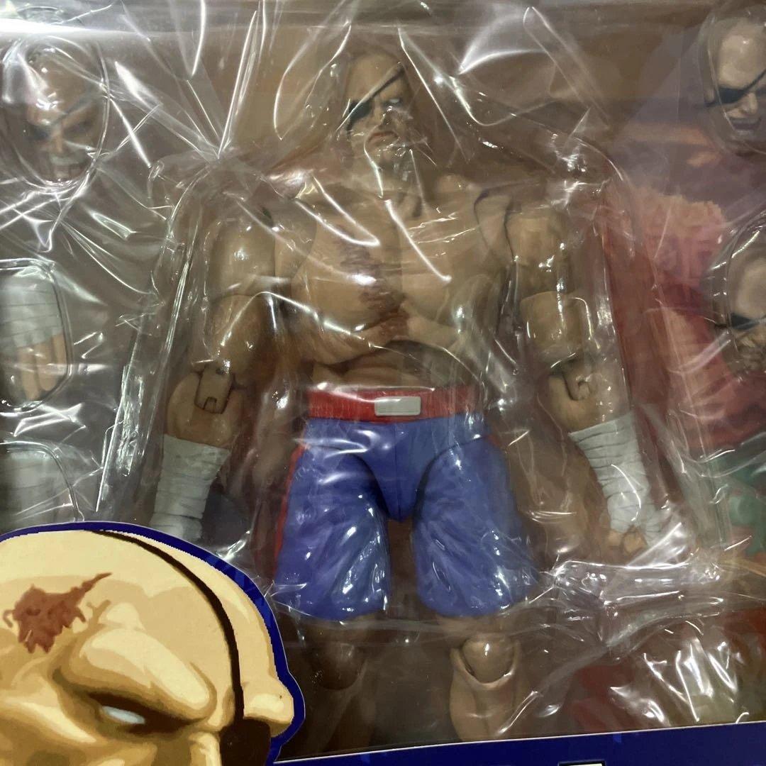ザ・ファイナルチャレンジャーズ アクションフィギュア サガット