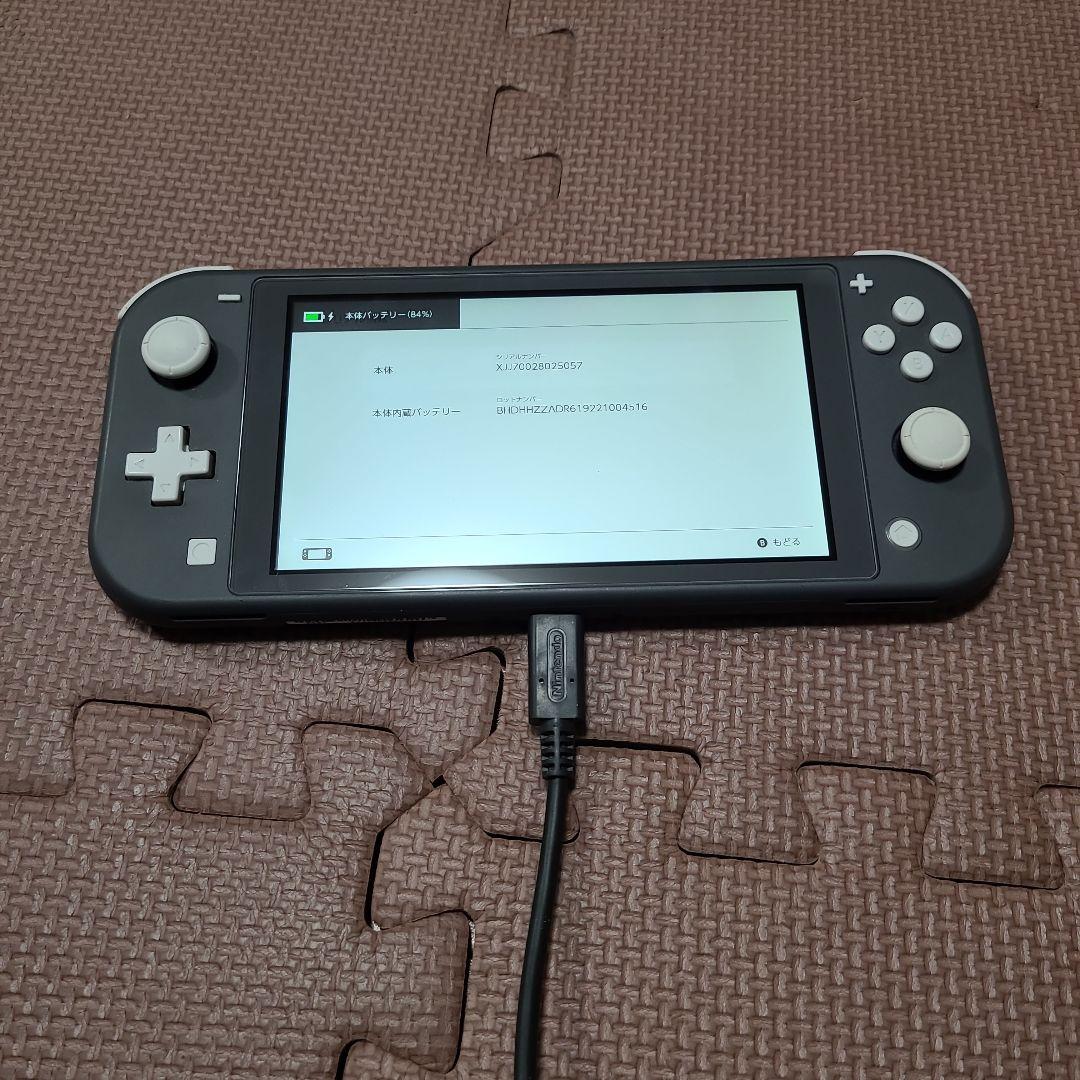 Nintendo Switch Lite グレー 5057