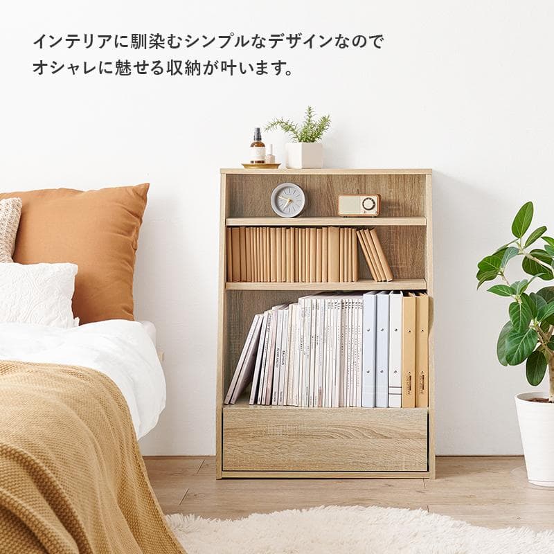 1cm刻みで調節引き出し付き本棚 ロー 幅60cm ブラウン [8479]