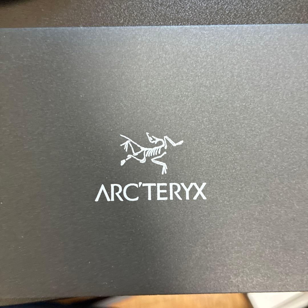 廃盤Arc’teryx Zeta SL ゼータ アークテリク