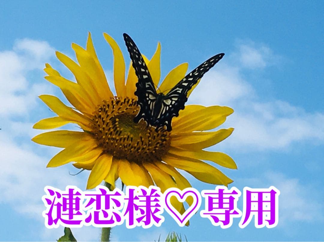 漣恋様❤️おまとめ専用ページです。1/26まで♡