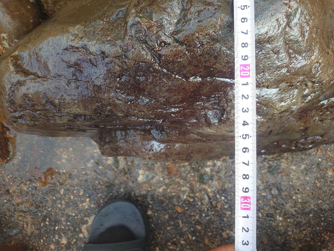 庭石 山型 約120kg 鑑賞石 庭園 坪庭 枯山水 造園