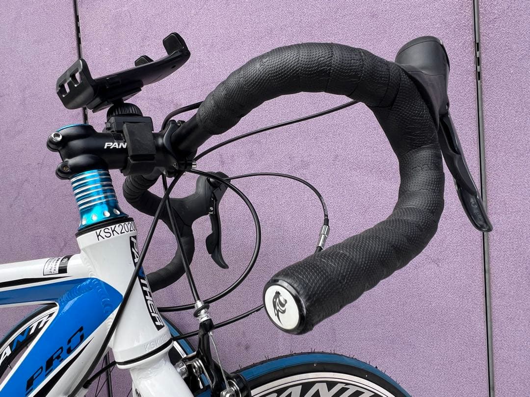 Wahoo KICKR SNAP 屋内バイクトレーナーPANTHER Zeus