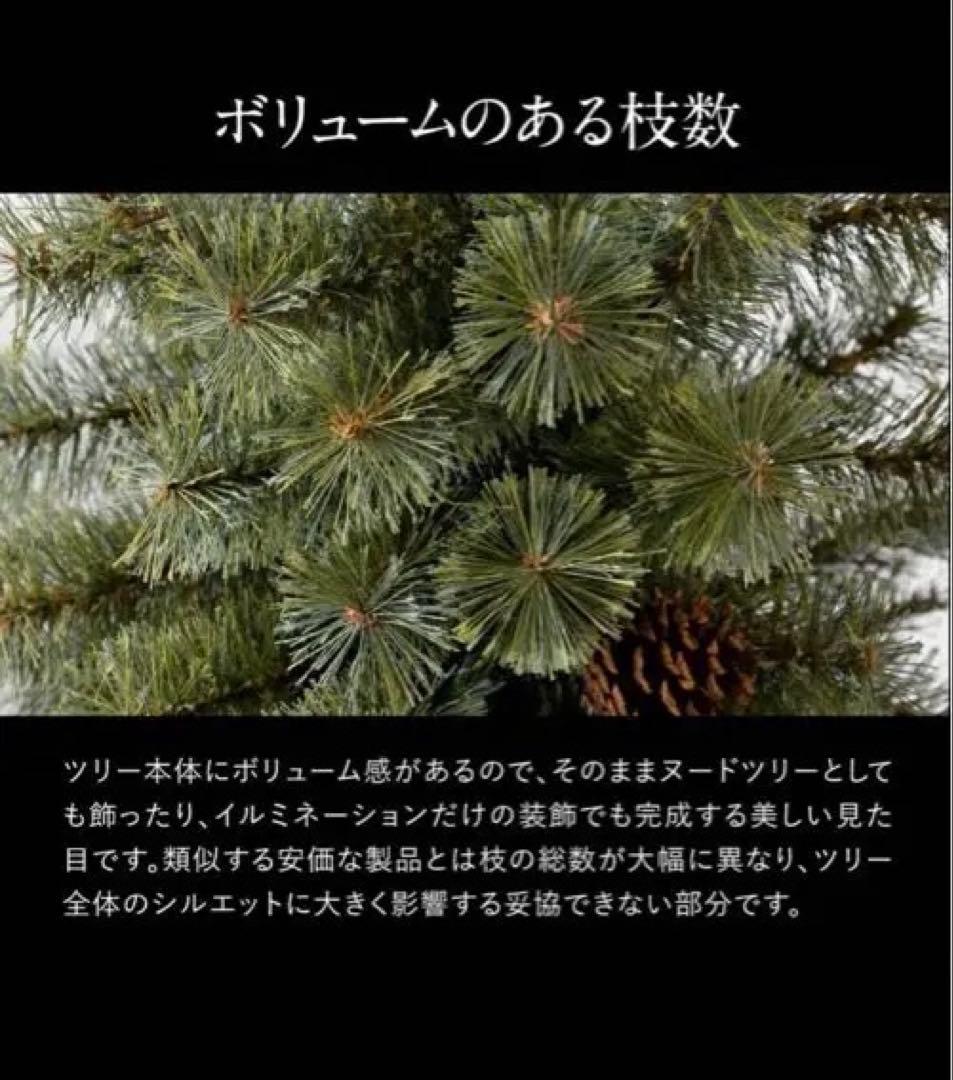 Alsace 210 クリスマスツリー　2025