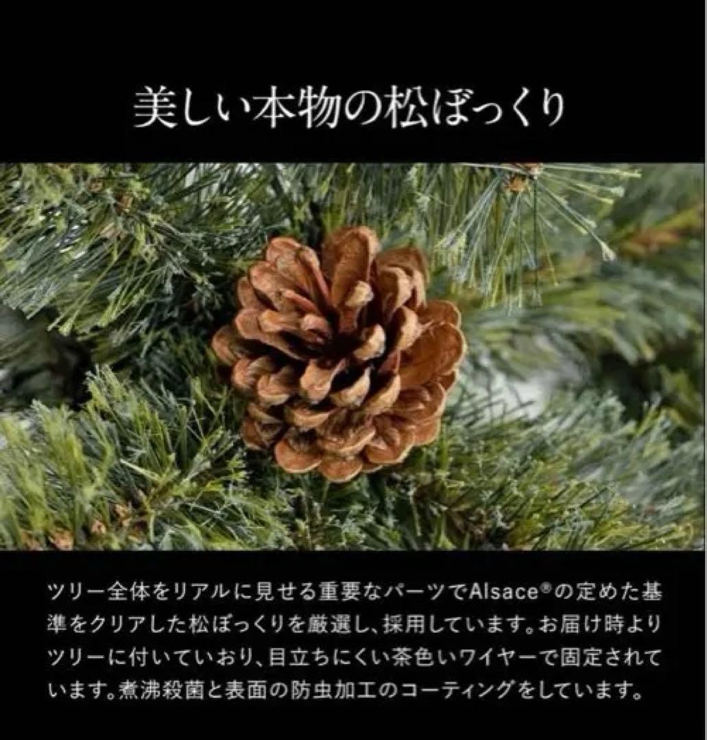 Alsace 210 クリスマスツリー　2025