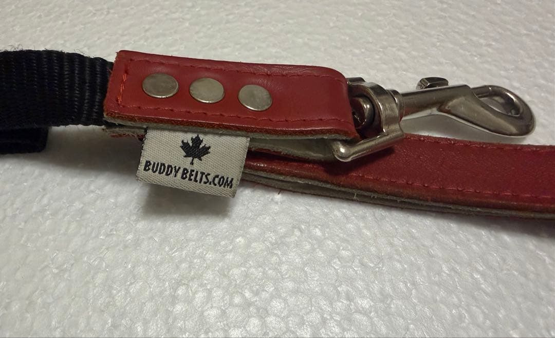 バディベルト5号、リード、ライナーセット