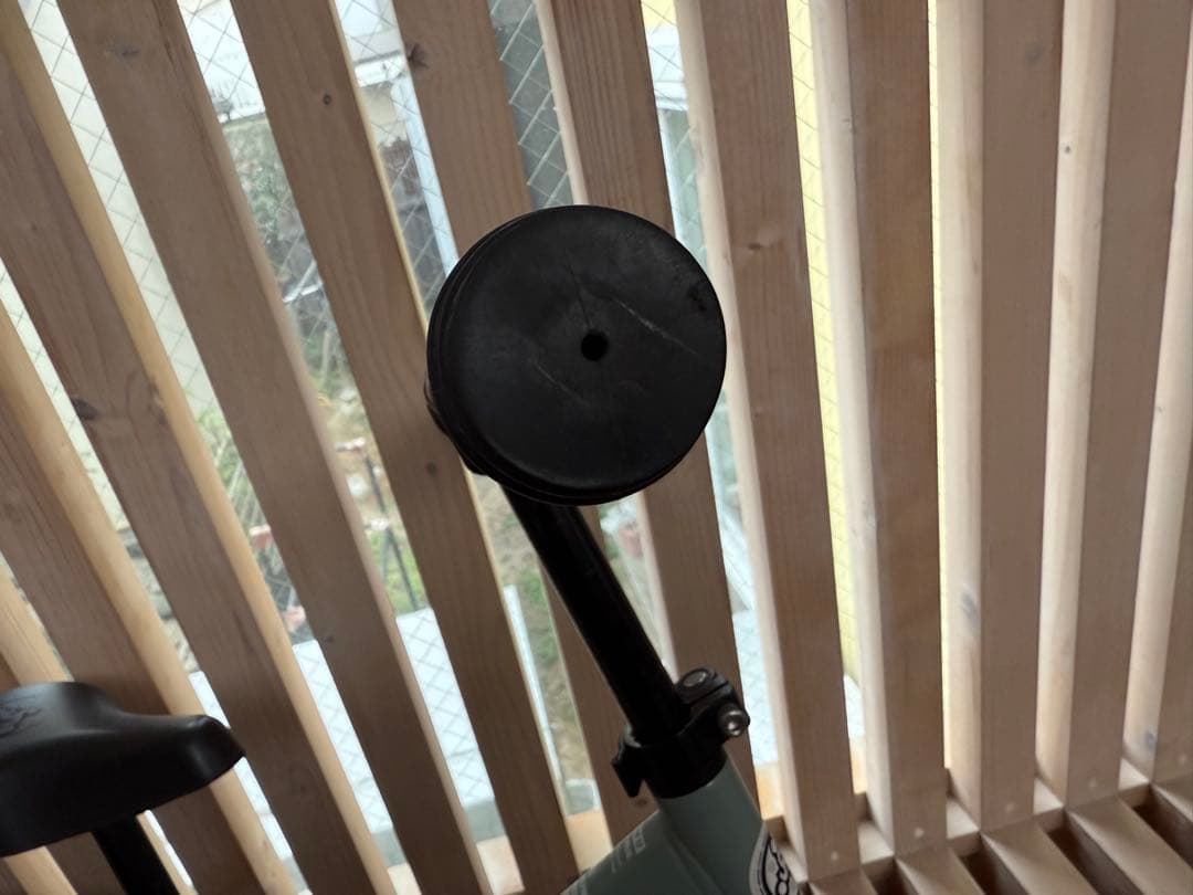 希少・美品！ストライダースポーツ　アイスブルー　ケース・プロテクター付き