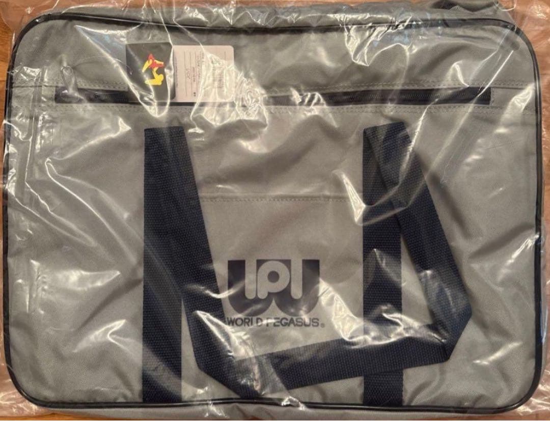 【現在最安値‼️】【新品旧型‼️】ワールドペガサス スクバ グレー　ワッぺグレー