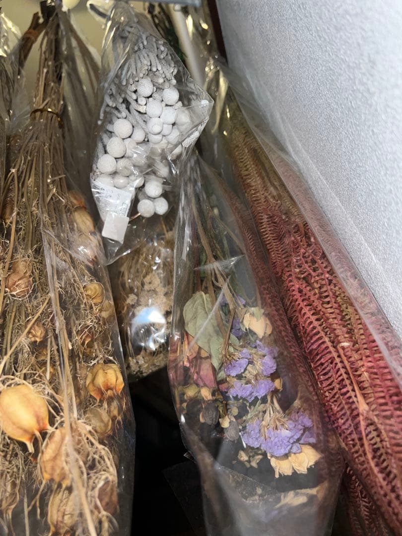 ドライフラワー　バラ　ホワイト　唐辛子　シダ　かすみそう　ウサギノネドコ　花束