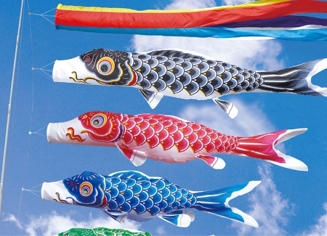 大類です。 こいのぼり　5m 6点セット　かなめ鯉