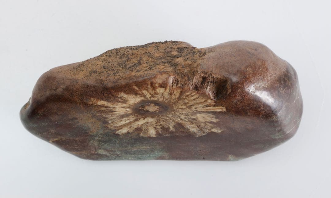 菊花石 菊紋石 一輪1.25kg 鑑賞石 原石 自然石 美石 水石 盆石 飾石