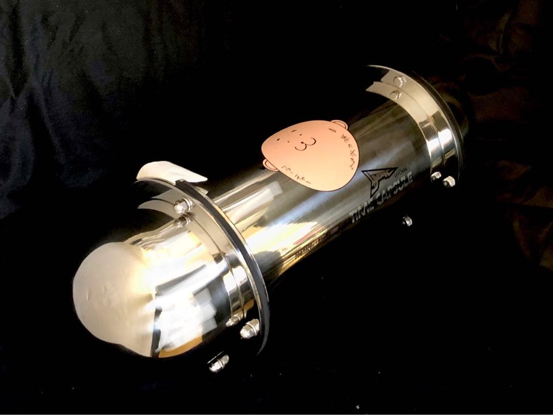 【激レア！新品】ヒョーマ20471120タイムカプセル♪