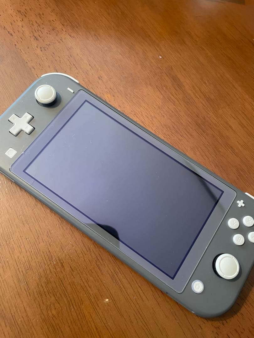 Nintendo Switch Lite グレー 本体 充電ケーブル 本体ケース