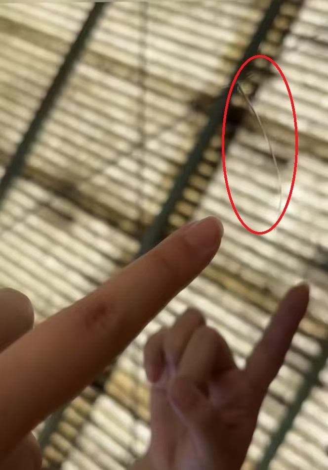 【美品】ダンスミラー 割れない鏡 幅60x160cm 姿見 白色 10番