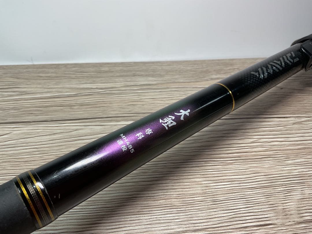 DAIWA ダイワ グローブライド 大鯉専科 MH485 遠投•N