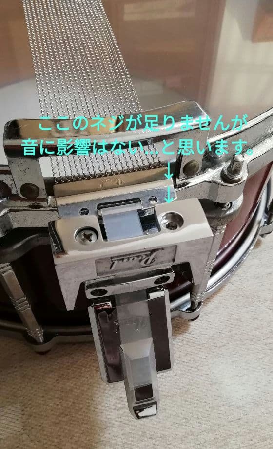 【Pearl】バーチシェル　フリーフローティングスネア　おまけでソフトケース付！