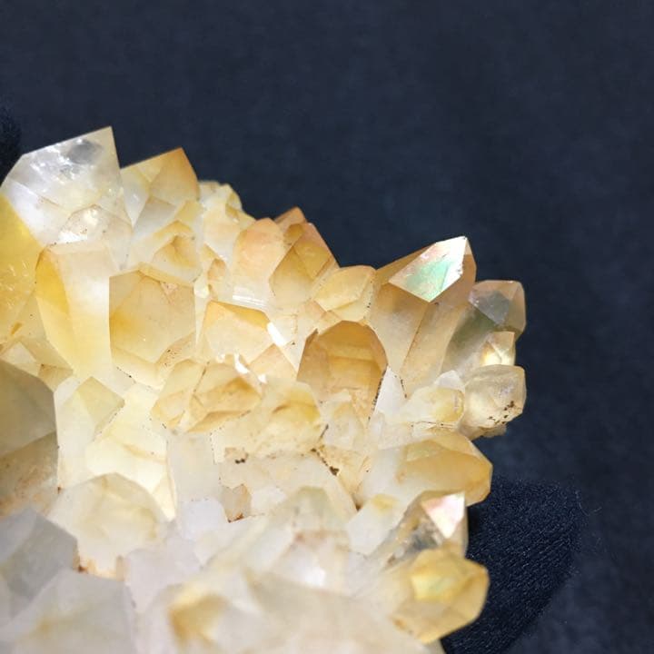 ゴールデンヒーラー アーカンソー産 100g
